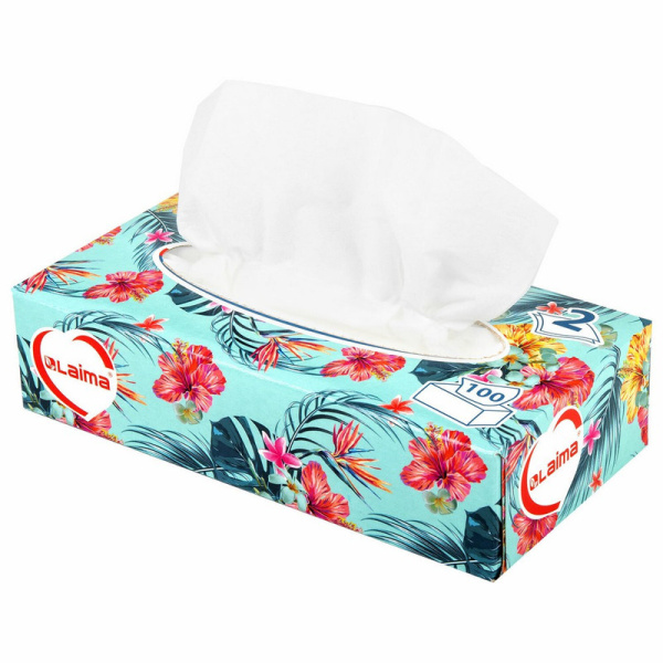 113588 Laima, "Everyday", Салфетки косметические 100 штук, в картонном боксе, 2-слойные, 20х20 см