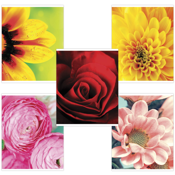 403037 Brauberg, Яркие цвета, Тетрадь А5, 48 л, клетка, обложка картон